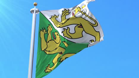 canton of thurgau flag, switzerland. loop