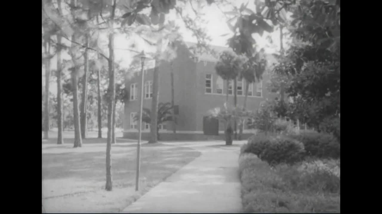 1967년 플로리다 대학에서 열린 파오 회의에서 쿠바 대표단의 존재에 항의하는 쿠바 난민들