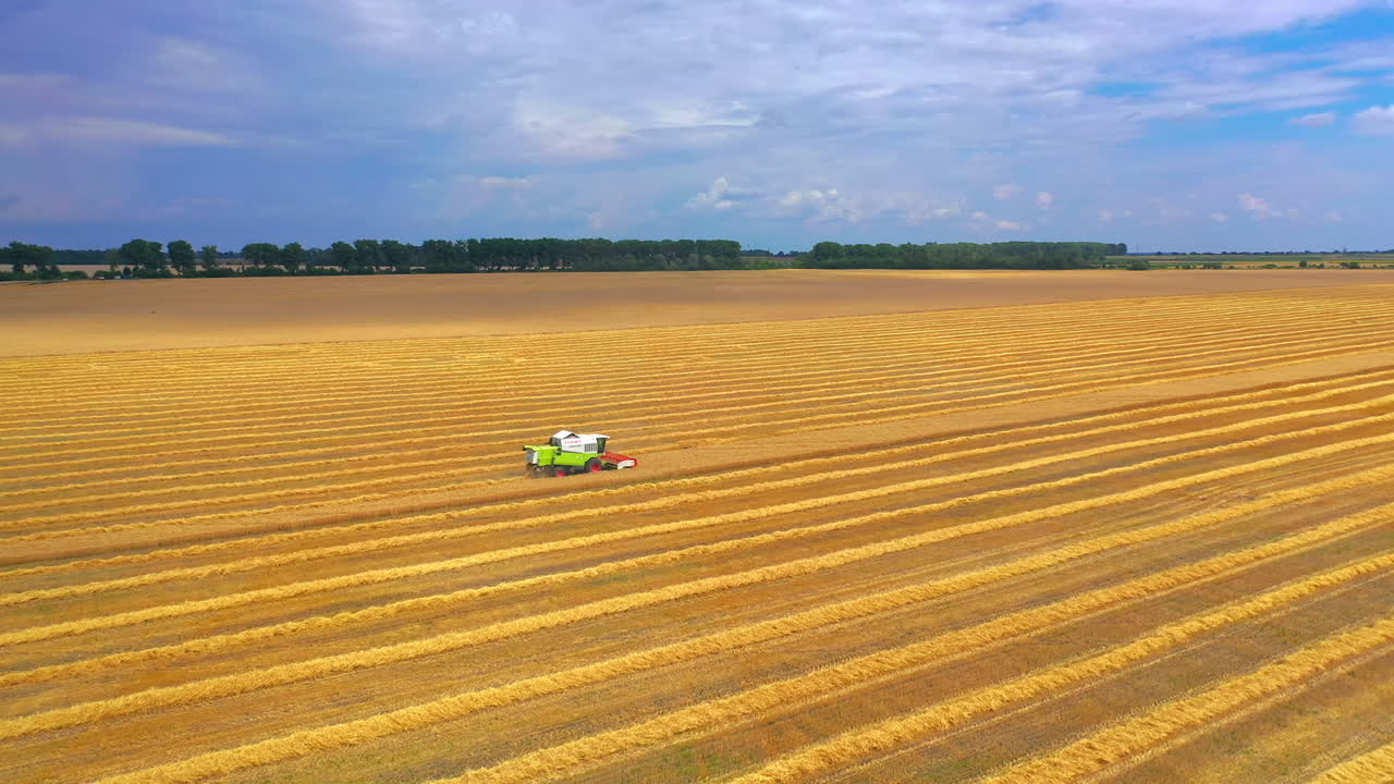 Combine harvester working on a wheat field. Combine harvester Aerial view.