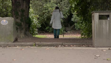 woman with stick walking through entrance to park