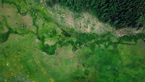 Overhead-view-over-green-meadows-and-hills-near-the-Crested-Butte-mountain,-Colorado,-USA