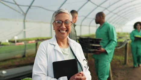 scientist, woman and greenhouse management