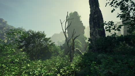 lush green forest with towering rocks and misty atmosphere in the early morning