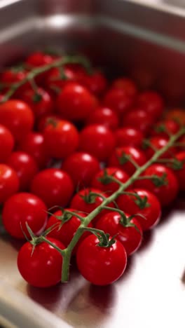 fresh cherry tomatoes in a metal tray