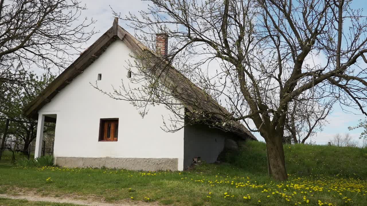 Whitewashed traditional cottage with thatched roof and blossom trees