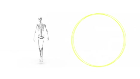 Digital-animation-of-human-skeleton-walking-and-abstract-colorful-shapes-against-white-background