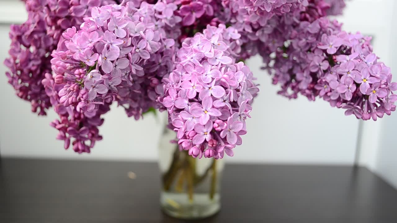 Shooting in the spring. Lilac in a vase