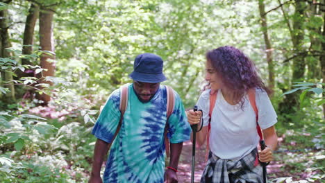 couple hiking in the forest