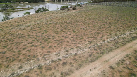 Una-Foto-De-Un-Dron-De-Un-Puente-En-Los-Ríos-Del-Sur-De-Australia