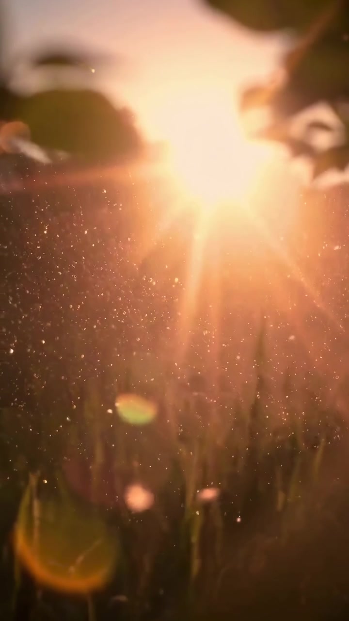 Golden Sunlight Rays and Floating Particles Underwater with Lens Flare