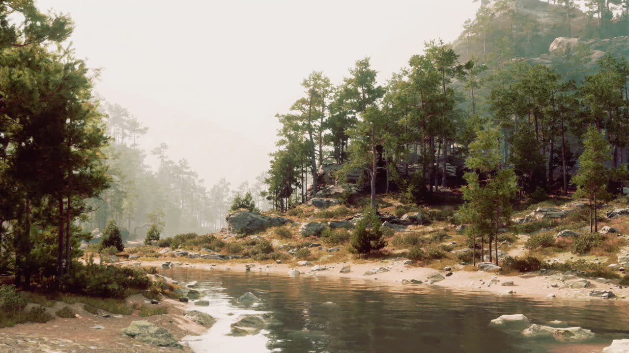 Scena tranquilla del fiume della foresta