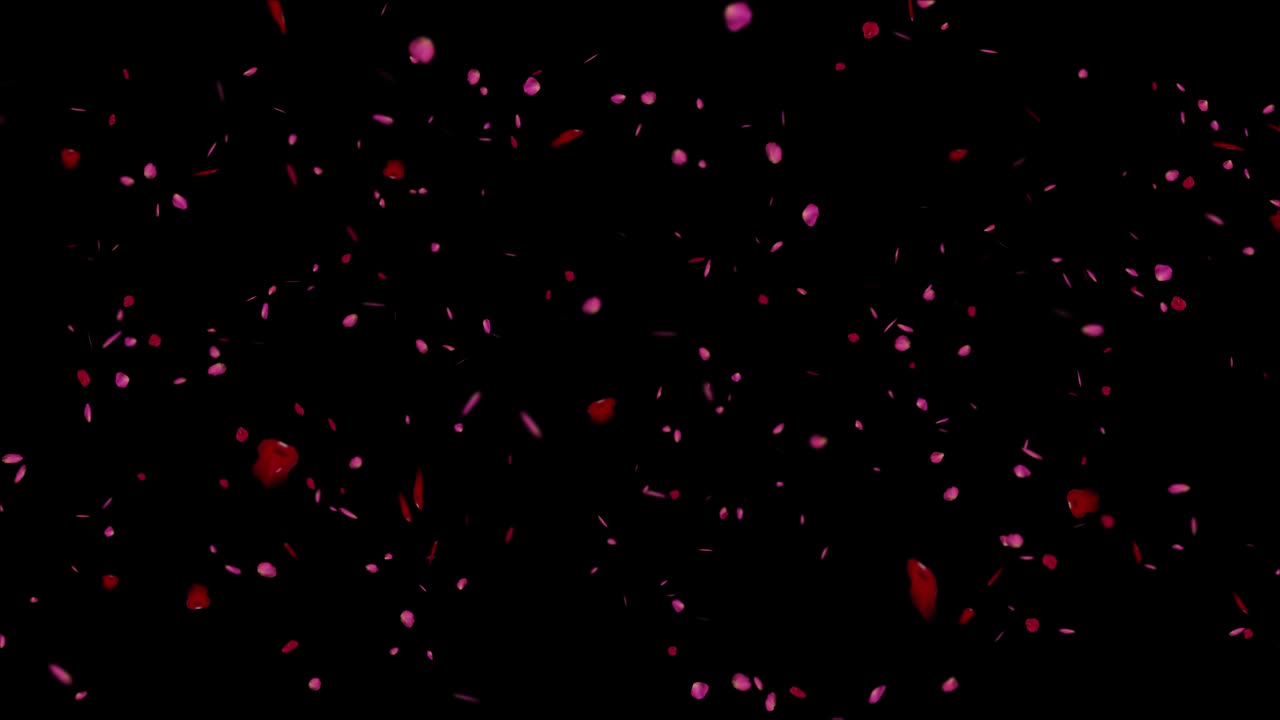 장미 꽃잎은 검은색과 녹색 화면에 루프 애니메이션