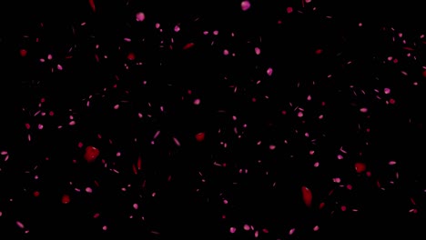 rose petals looped animation on black and green screen