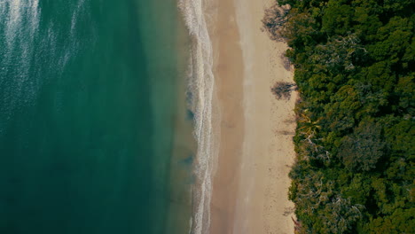 Tropischer-Daintree-Regenwaldstrand-Am-Cape-Tribulation-Australien