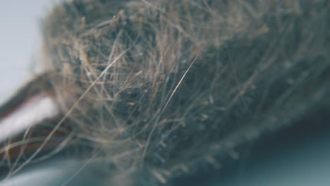 cepillo elíptico cubierto de mechones de pelo sobre fondo gris