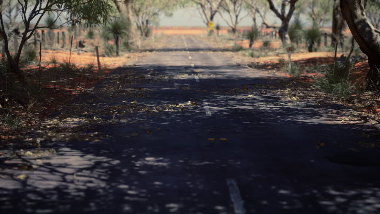 건조 한 풀 과 나무 들 이 있는 외 ⁇  도로