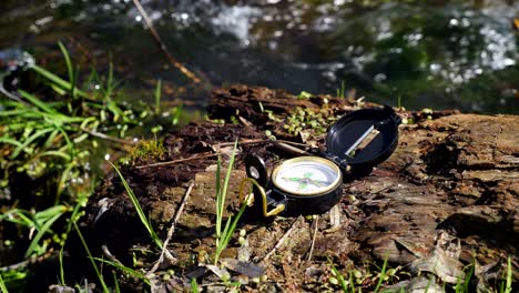 compass on the wood near little stream