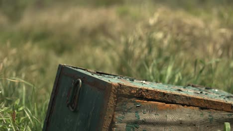 telephoto shot of a rusty green metal box in a field of grass