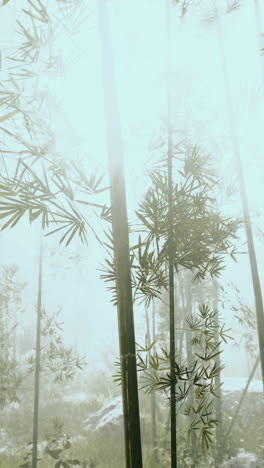 bamboo tree amidst forest vertical