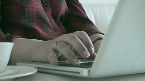 close up of modern indian woman's hands as she brings them down to work on the laptop