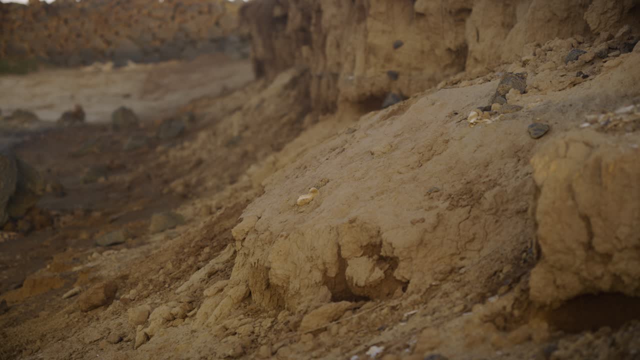 A person ascends a rugged sand and clay hillside near the sea, their movement blending with the earthy tones of the terrain, symbolizing persistence and harmony with nature