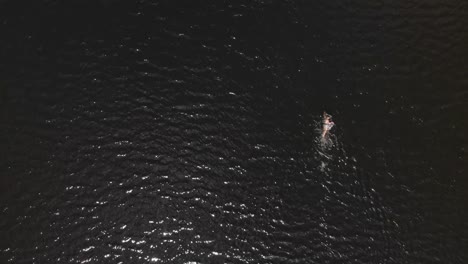 women swimming in a dark lake in the summertime from an ariel view