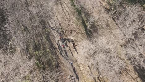 rotating drone shot of people in a forest moving trees of the ground