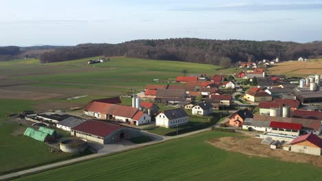 Pueblo-Idílico-En-Eslovenia,-Europa-Central-Desde-El-Aire,-Casas-Rústicas-Tradicionales-Con-Granjas,-Rodeadas-De-Campos-Y-Prados