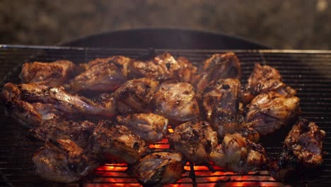 barbacoa de trozos de pollo en la parrilla, reunión nocturna en casa con familiares y amigos