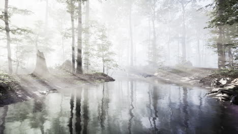 dark-pond-in-mysterious-forest
