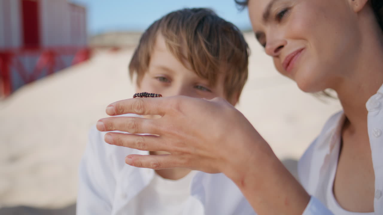Curious mother boy observing caterpillar on sandy beach closeup. Smiling mom son