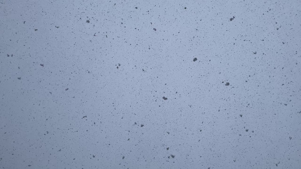 grandes copos de nieve cayendo del cielo