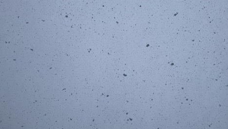 Große-Schneeflocken,-Die-Vom-Himmel-Fallen