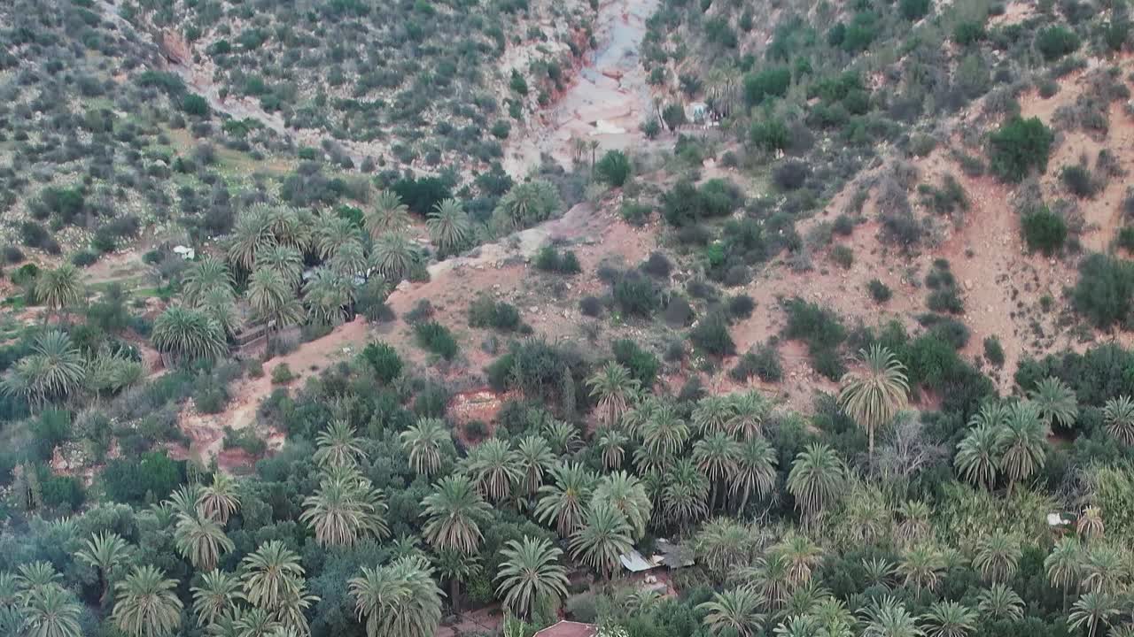 Veduta aerea di palme in Marocco con colline e paesaggio.