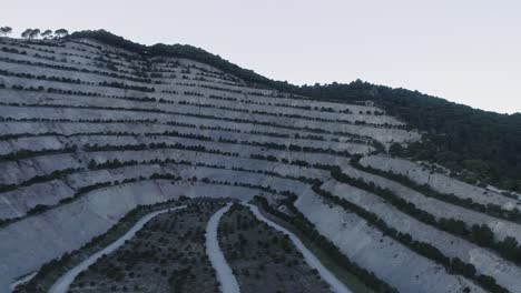 Aerial-view-of-tree-plantaion-zone-in-Mijas,-southern-Spain