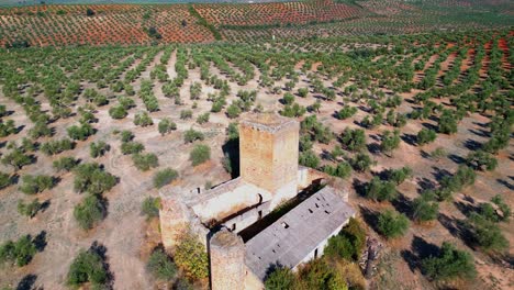 Mittelalterliche-Burg-Von-Aragonesa-In-Einem-Olivenhain,-Drohnenansicht