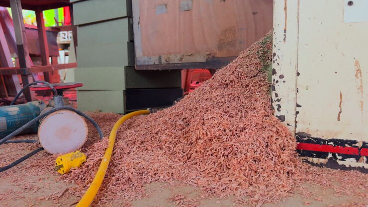 Sawdust pile accumulating on the industrial workshop floor. Woodworking tools and electrical cords are visible