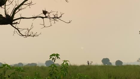 asian rural scenery