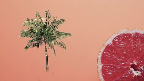 composition of halved grapefruit and palm tree on red background