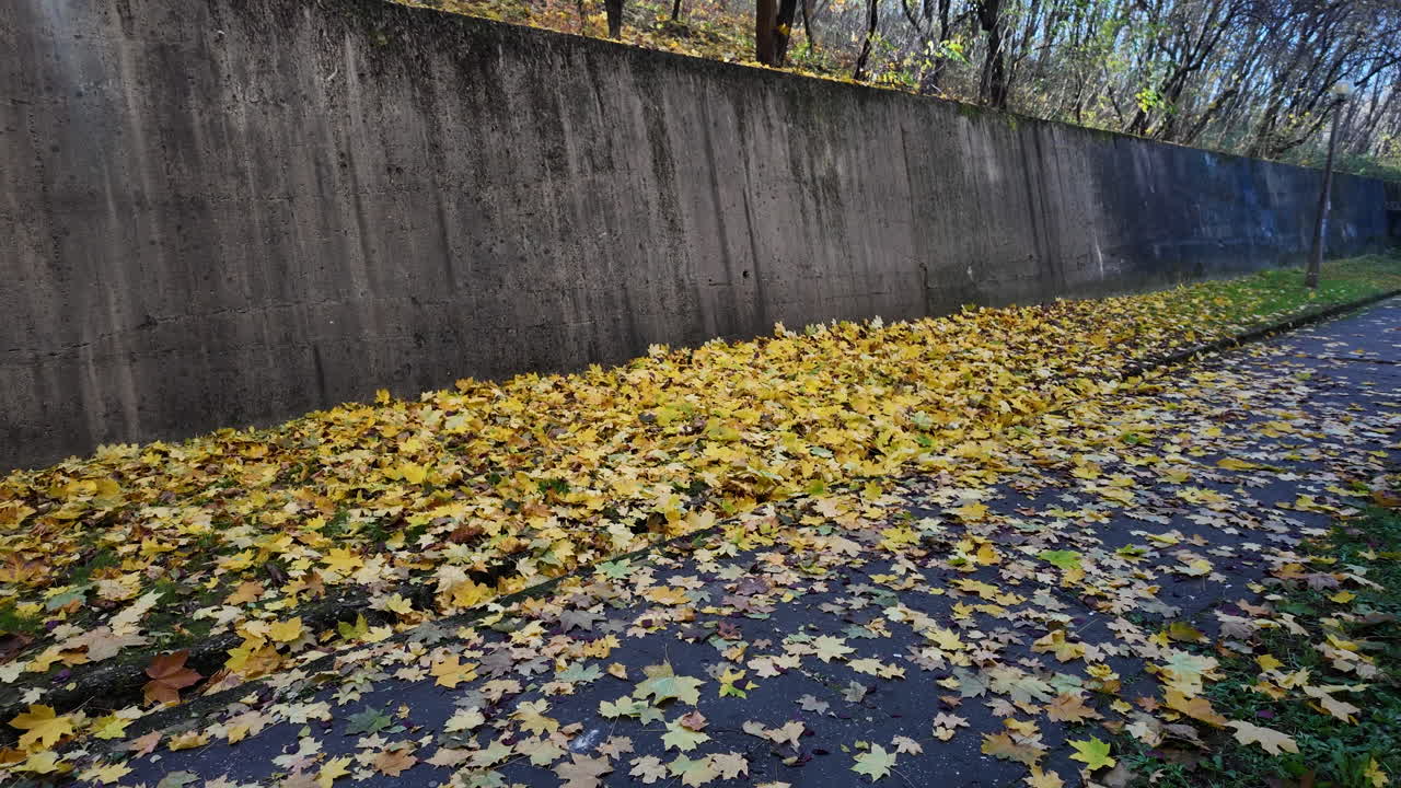 Autumn Leaves on a Path Next to a Concrete Wall