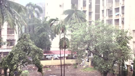 trees swaying in wind during storm in city