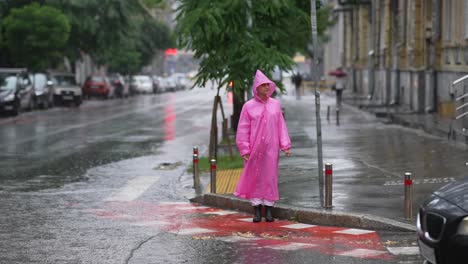 rainy city street scene with woman in pink raincoat