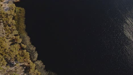 Luftaufnahme-Des-Ruhigen,-Glitzernden-Wassers-Des-Braunen-Sees-Mit-Strauchvegetation-Auf-Der-Insel-North-Stradbroke-In-Queensland