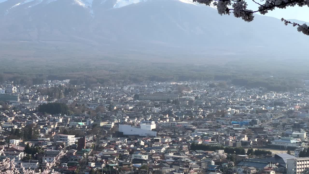 Stunning panorama tilt up over Kawaguchiko city with Sakura and Mt. Fuji