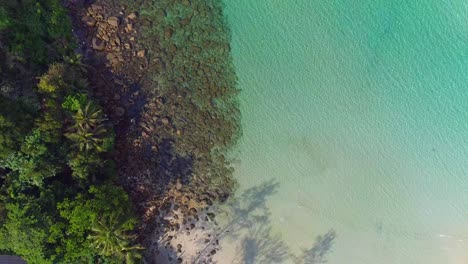 aerial view of a tropical beach with turquoise water