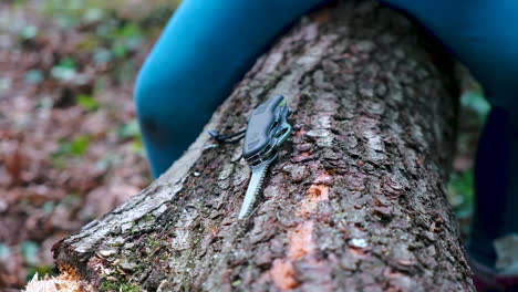 hands of a little girl or boy using a swiss knife, sawing a piece of wood in the forest, nobody