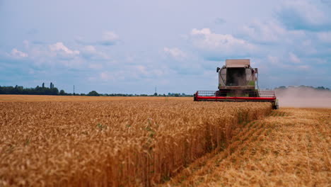 season of gathering crops. harvesting is the process of gathering ripe crop from the fields