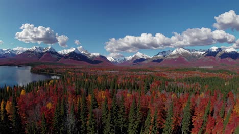 aerial video captures a stunning landscape of autumnal forest and snow-capped mountains