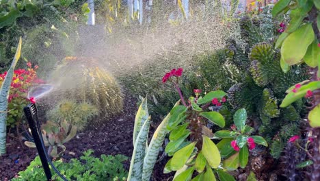 lawn irrigation system, lawn sprinkler for watering grass and flowers.