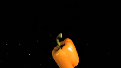 wet bell pepper rotating in super slow motion